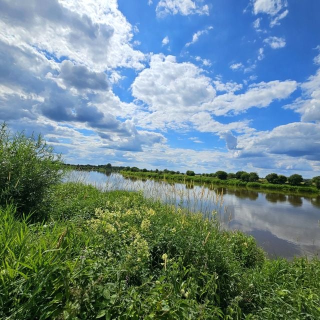 Działka rolna Brzuza