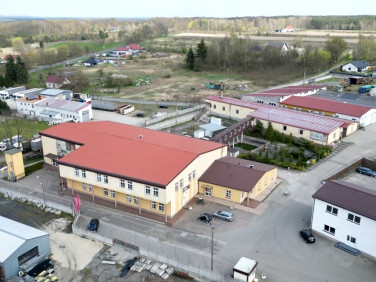 Lokal Krosno Odrzańskie