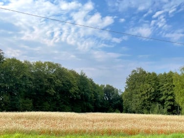 Działka budowlana Kozy