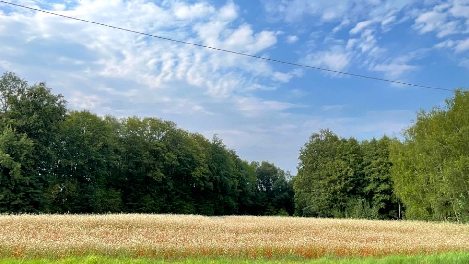 Działka budowlana Kozy
