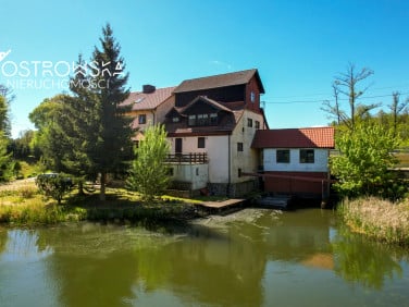 Dom Babięta