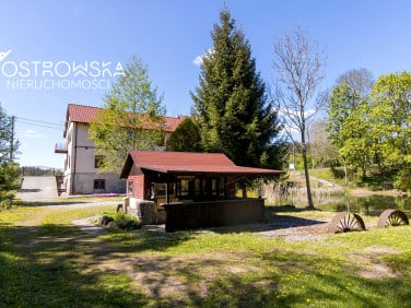 Dom Babięta
