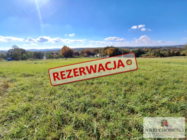 Działka Zalasowa