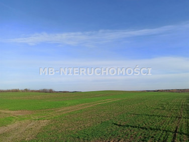 Działka Jurgi
