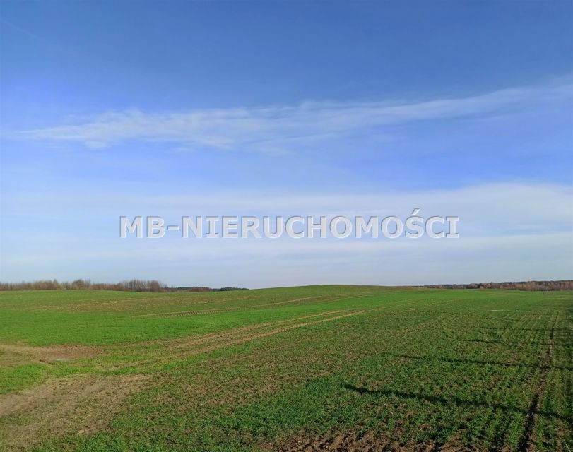 Działka Jurgi