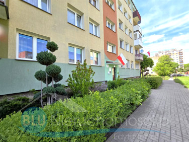 Mieszkanie Głogów sprzedaż