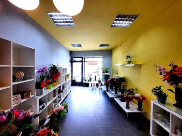 Lokal Będzin