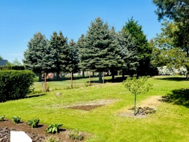 Ogrodzona działka sprzedam