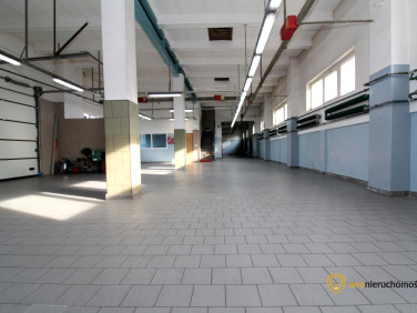 Lokal Środa Śląska