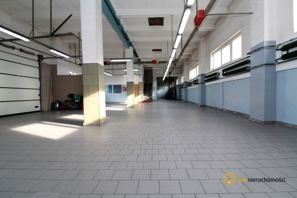 Lokal Środa Śląska