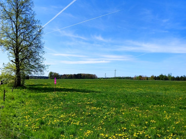 Działka budowlana Dobrzyniówka