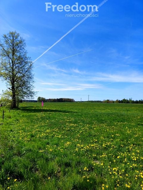 Działka budowlana Dobrzyniówka