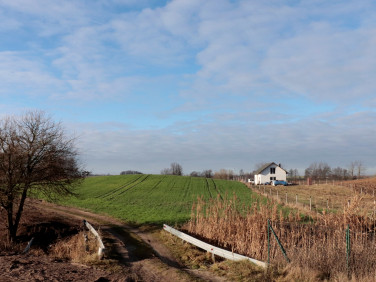 Działka Oćwieka