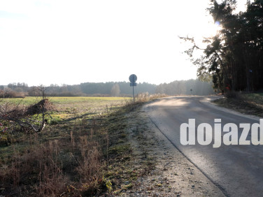 Działka Oćwieka