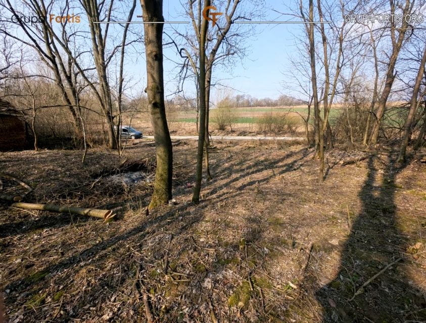 Zdjęcie 3