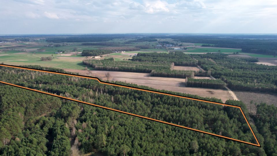 Działka leśna sprzedam