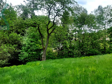 Działka Brenna