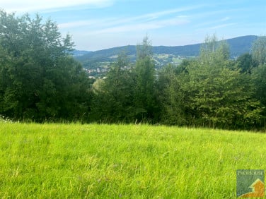 Działka Limanowa