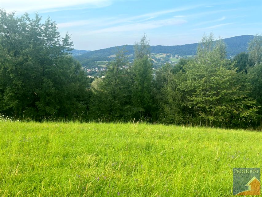 Działka Limanowa