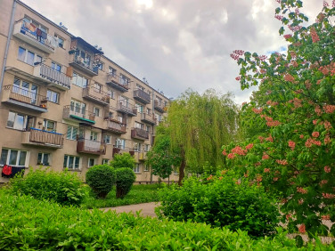 Mieszkanie Kielce