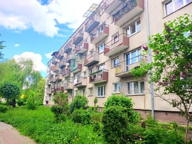 Mieszkanie Kielce