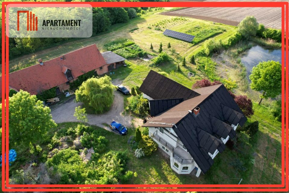 Dom Gołoty sprzedaż