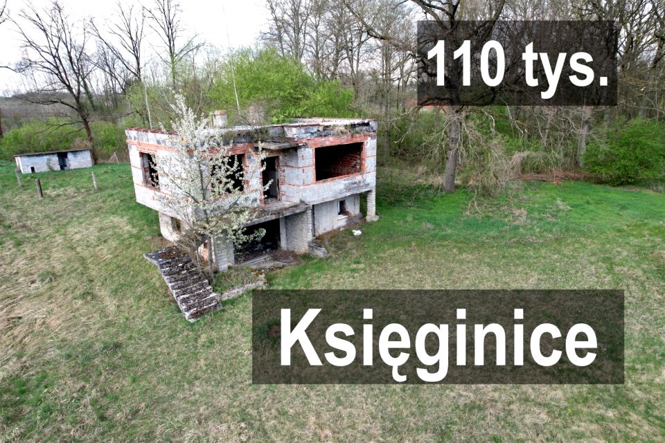 Działka przy lesie