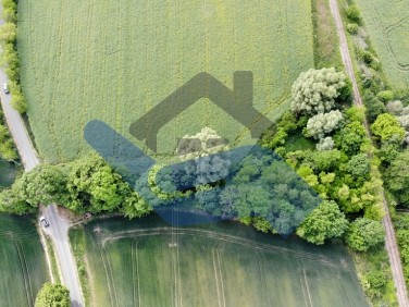 Działka rolna Żabienko