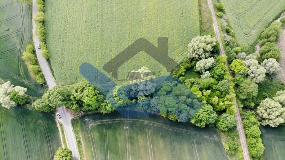 Działka rolna Żabienko