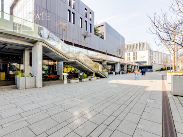 Lokal Sopot