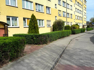 Mieszkanie Toruń