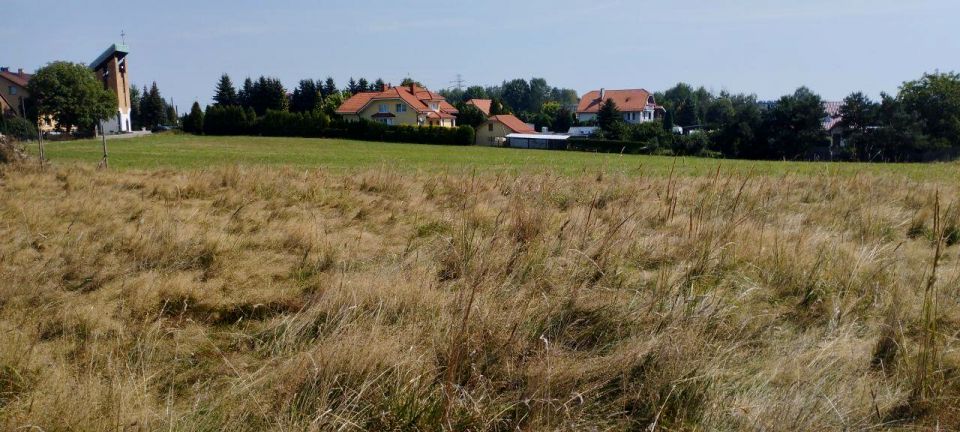 Działka budowlana Rybnik