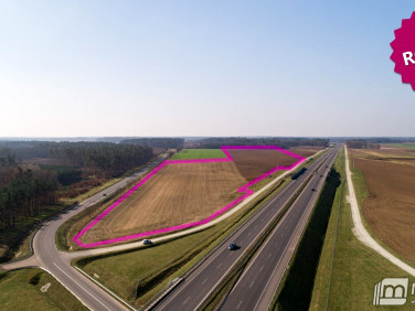 Działka Kikorze