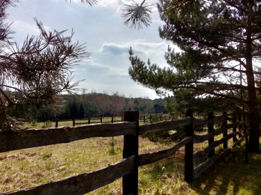Działka Suliszowice
