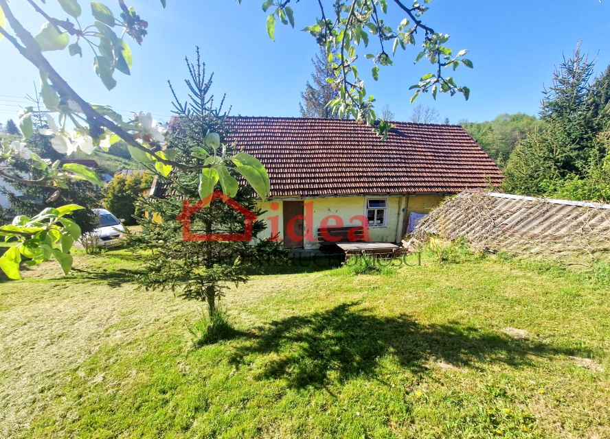 Dom Brzozów sprzedaż