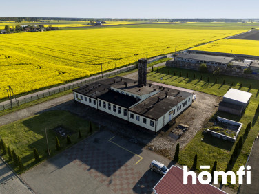 Lokal Strzelno
