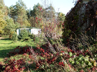 Działka Kolonia Borkowo