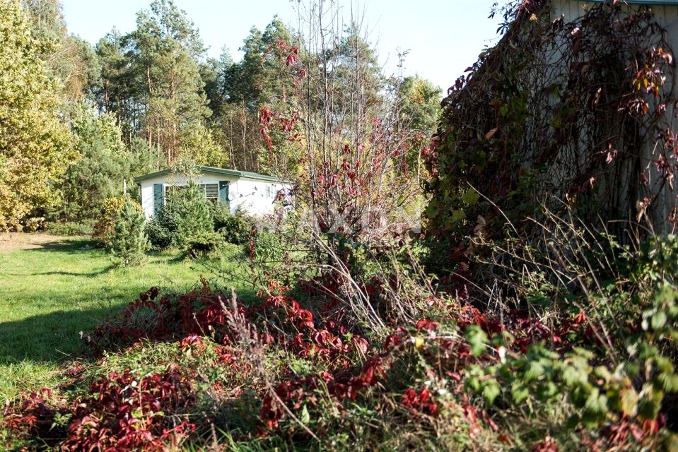Działka Kolonia Borkowo