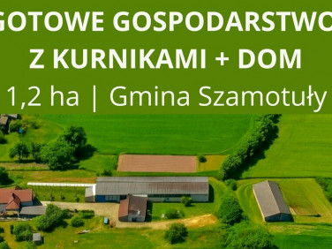 Budynek użytkowy Ostrolesie