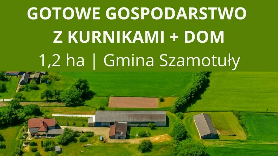 Budynek użytkowy Ostrolesie