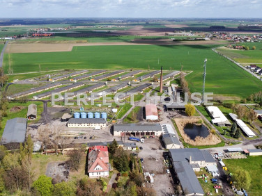 Budynek użytkowy Paczkowo sprzedaż