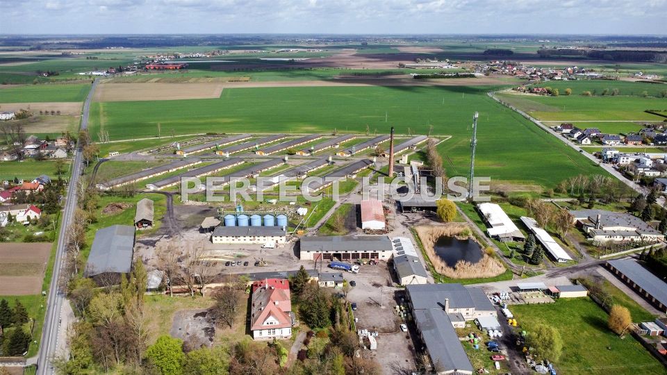 Budynek użytkowy Paczkowo sprzedaż