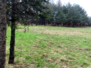 Działka budowlana Twardowice sprzedam