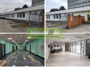 Budynek użytkowy Chlewiska wynajem