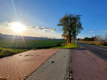 Działka inwestycyjna Bieruń