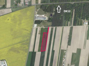 Działka usługowa Leszno
