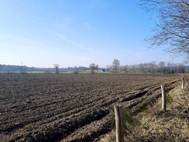 Działka inna Łęczyce sprzedam