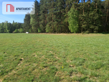 Działka siedliskowa Górzna