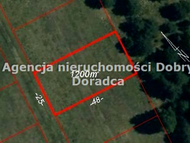 Pusta działka Osowiec