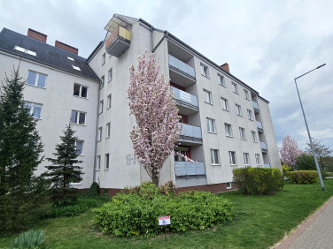 Mieszkanie Grodzisk Wielkopolski sprzedaż